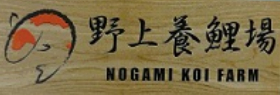 Nogami
