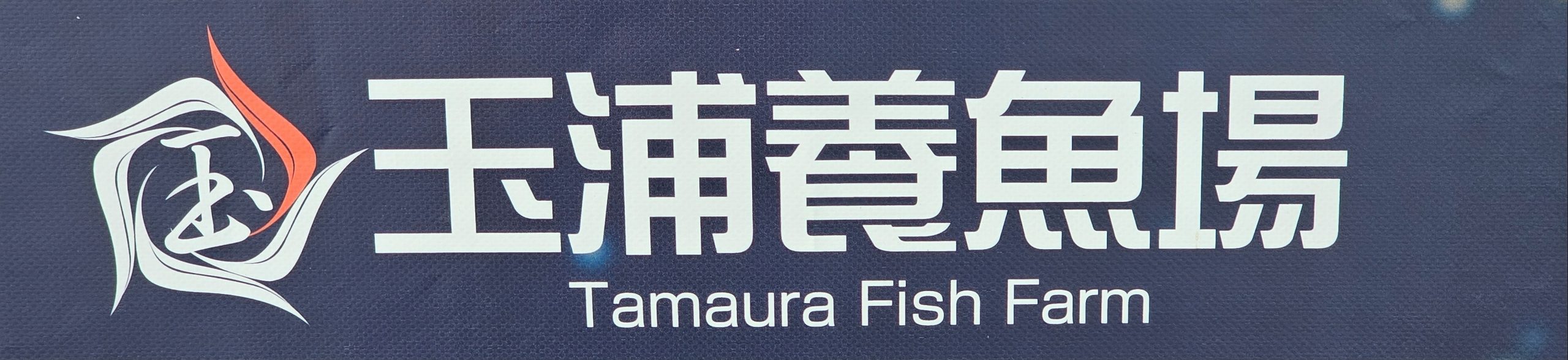 Tamaura