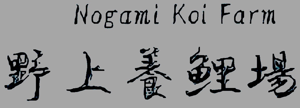 Nogami Koi Farm