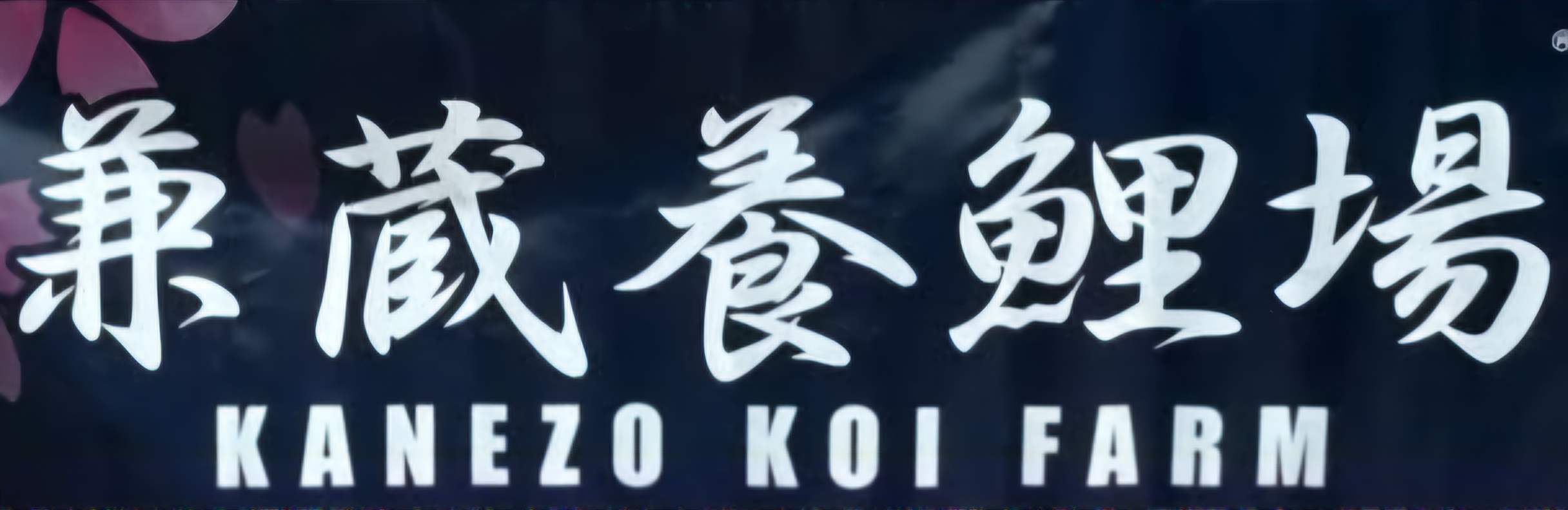 Kanezo Koi Farm