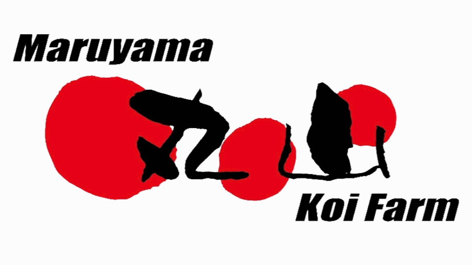 Maruyama Koi Farm