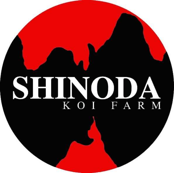 Shinoda Koi Farm