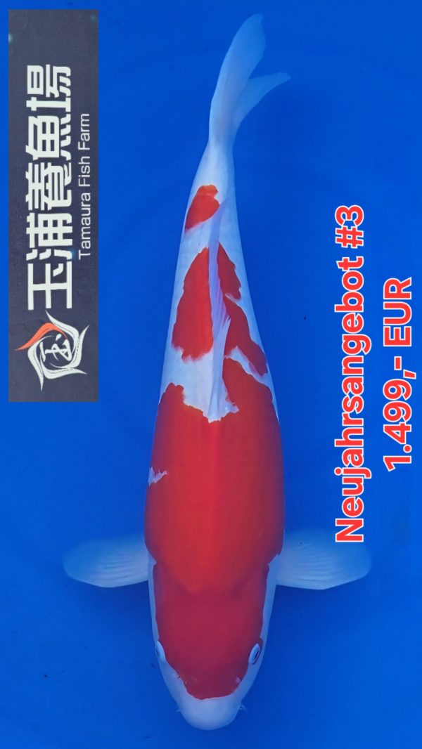 Screenshot_20251212_010804_Video Player(NA)