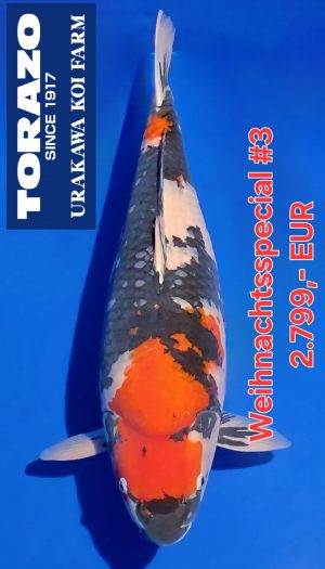 Torazo Showa - Weihnachtsspecial #3