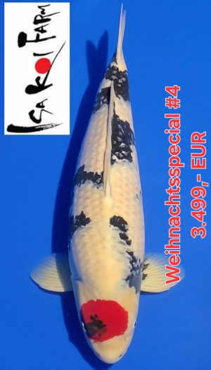 Isa Tancho Showa - Weihnachtsspecial #4