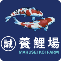 Marusei Koi Farm