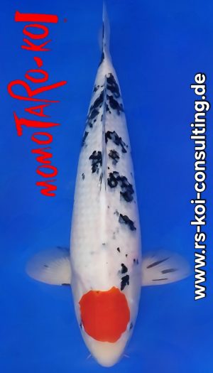 Momotaro Tancho Sanke Nisai