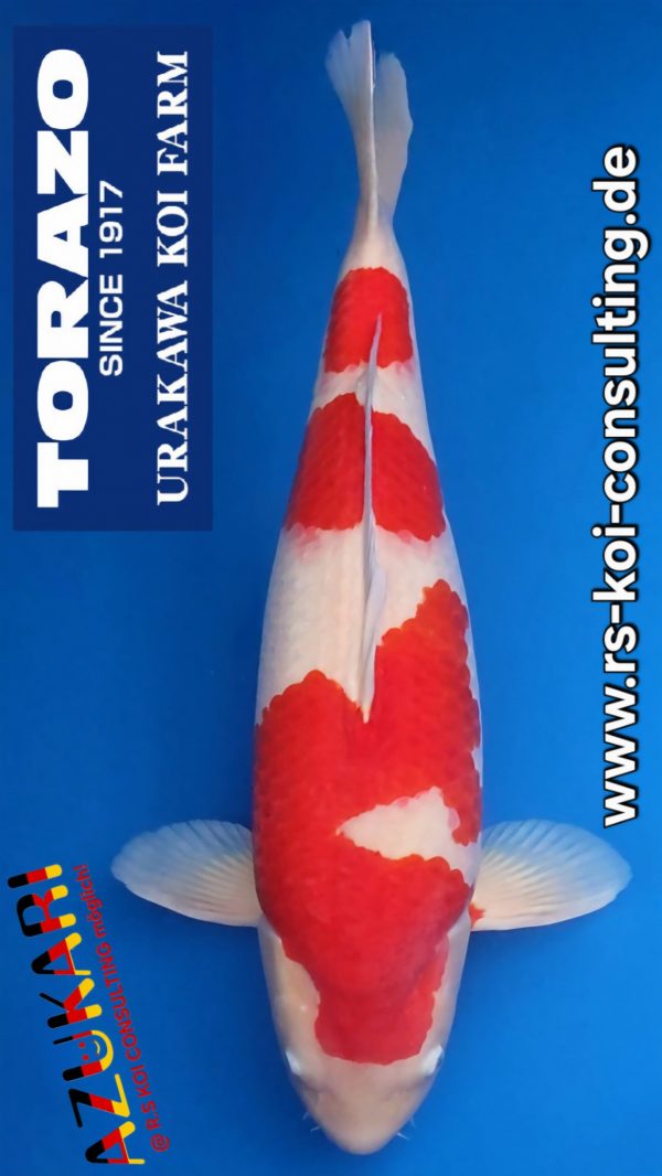 Screenshot_20260222_184958_Video Player(1)(1)(2)