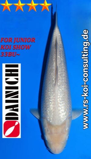 Tosai White Monkey Dainichi EU-Show