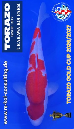 TORAZO Kohaku Tosai #09