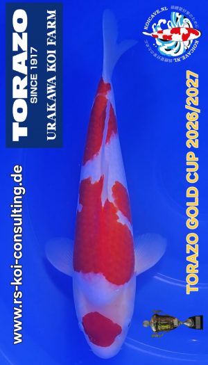 TORAZO Kohaku Tosai #08 – Bild 1
