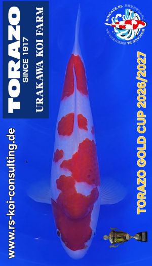 TORAZO Kohaku Tosai #07 – Bild 1