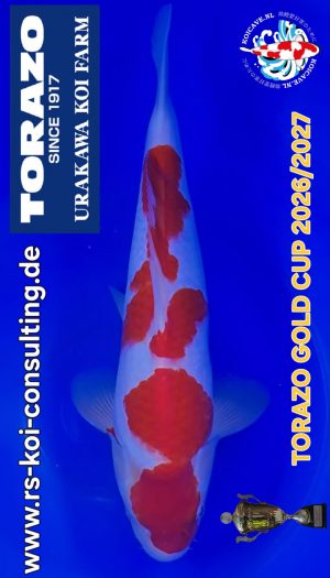 TORAZO Kohaku Tosai #06 – Bild 1