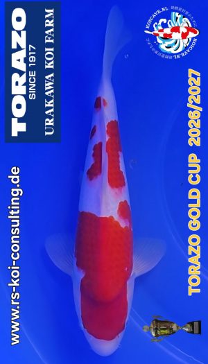 TORAZO Kohaku Tosai #05 – Bild 1