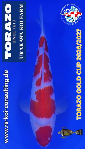 TORAZO Kohaku Tosai #04 – Bild 1