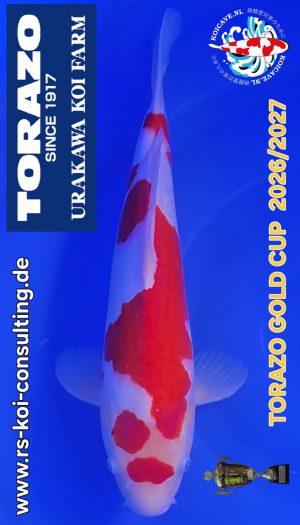 TORAZO Kohaku Tosai #03 – Bild 1