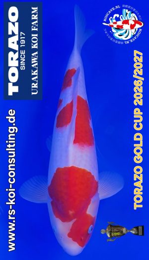 TORAZO Kohaku Tosai #01 – Bild 1