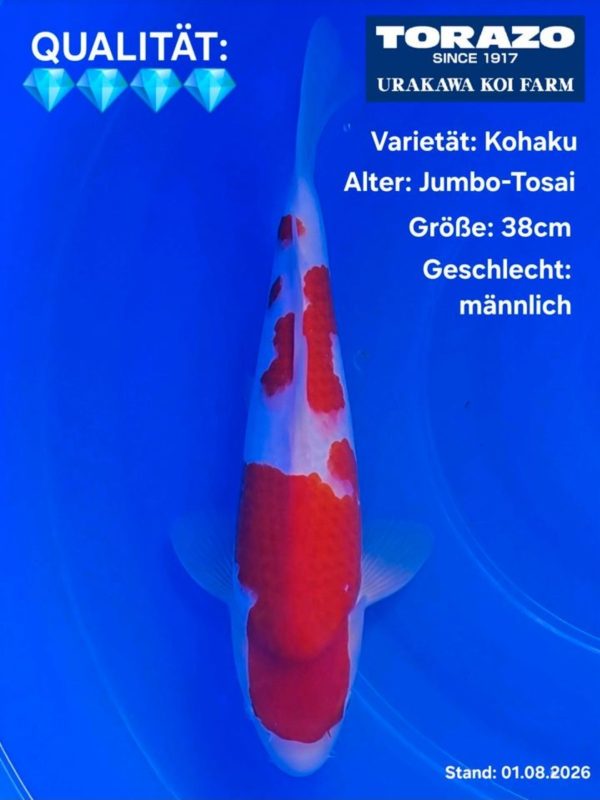 Screenshot_20260913_195202_Kleinanzeigen